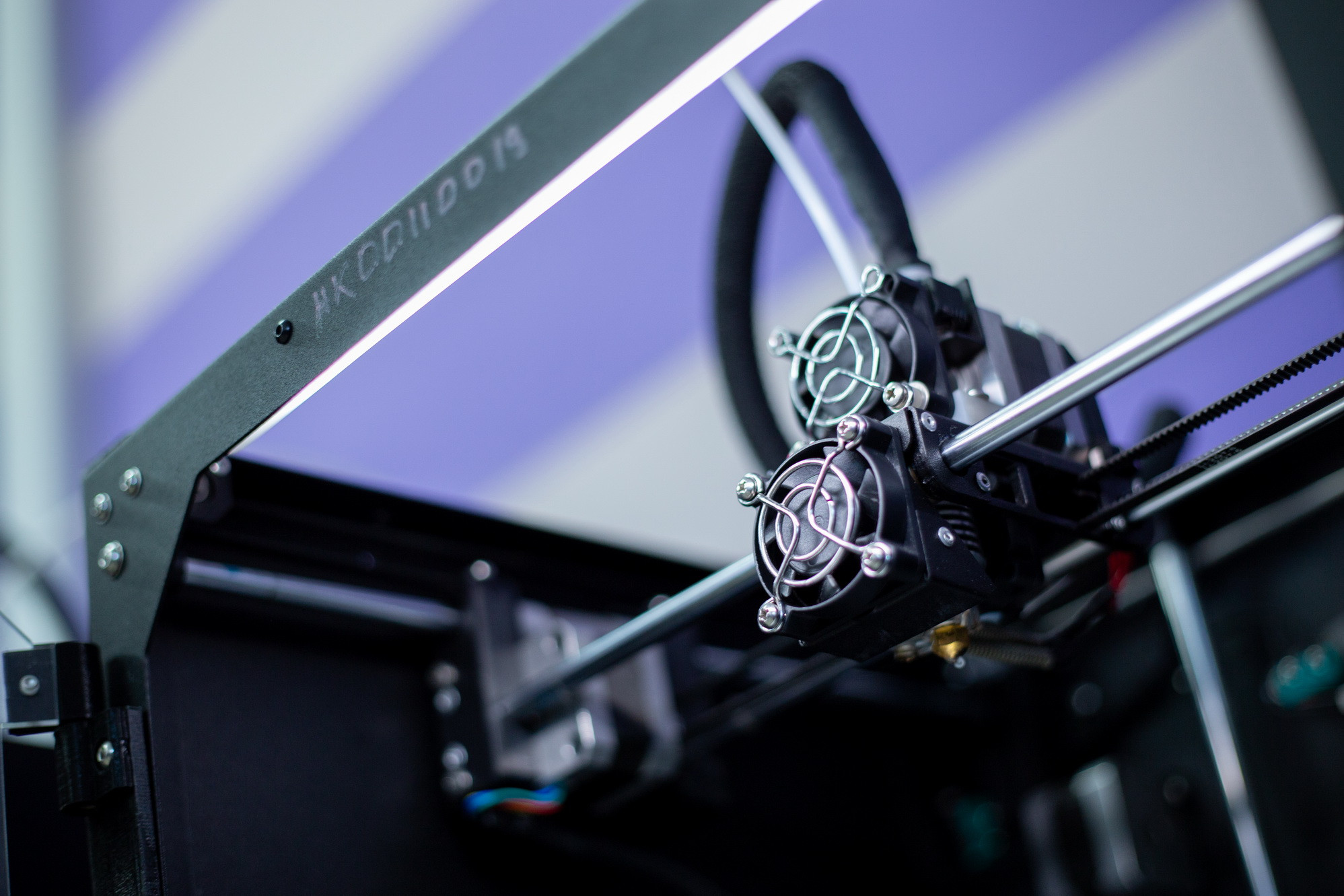 фотография: А. Непомнящих, Д. Фоменков