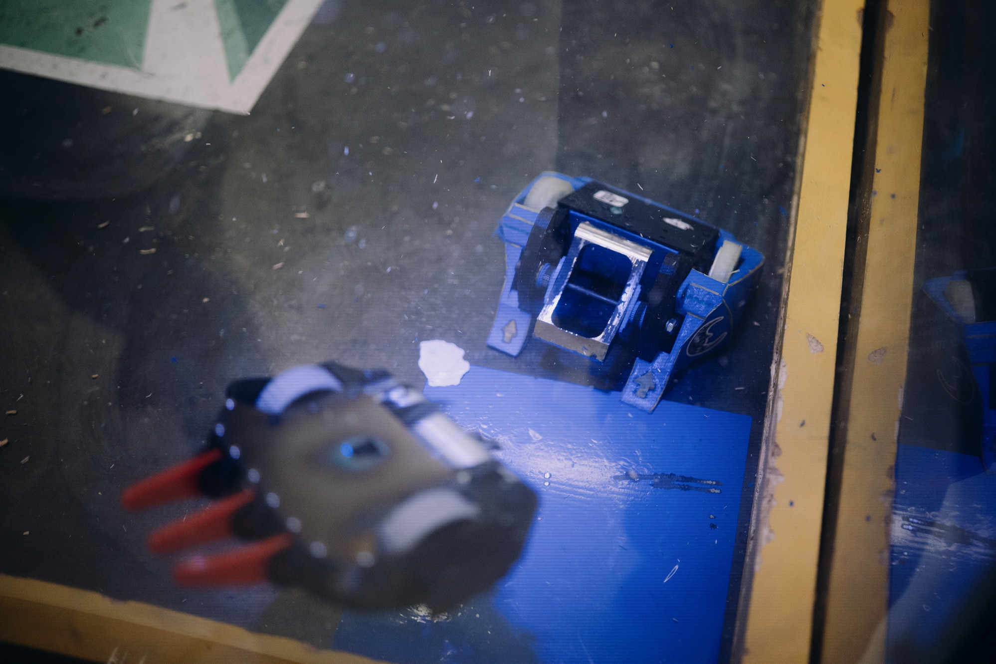 фотография: В. Гуськов