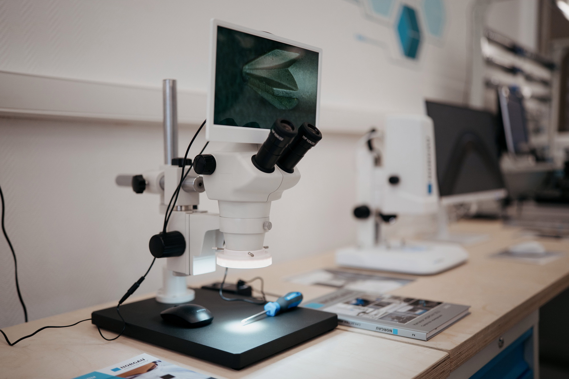 фотография: В. Гуськов