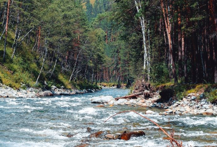 Шарап база отдыха нгту фото